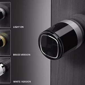 art 0 29112025152139