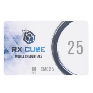 art 0 29112025155634